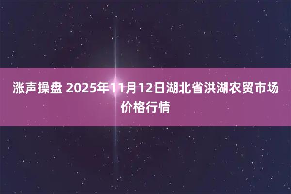 涨声操盘 2025年11月12日湖北省洪湖农贸市场价格行情
