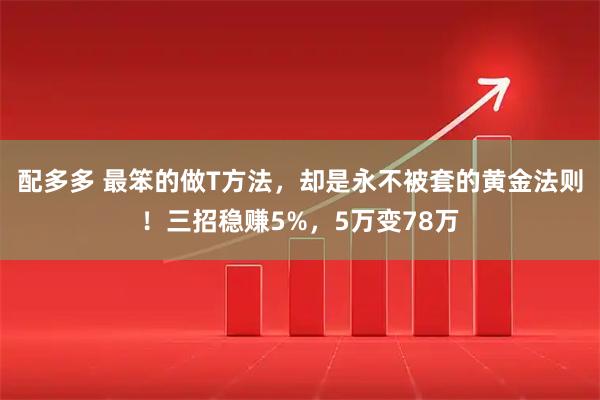 配多多 最笨的做T方法,却是永不被套的黄金法则!三招稳赚5%,5万变78万