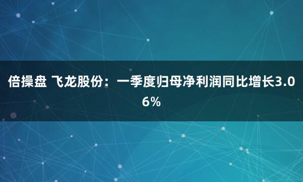 倍操盘 飞龙股份：一季度归母净利润同比增长3.06%