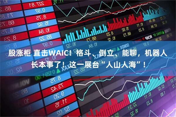 股涨柜 直击WAIC！格斗、倒立、能聊，机器人长本事了！这一展台“人山人海”！